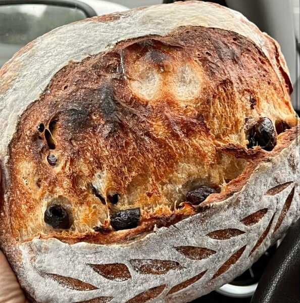 Kalamata Olive Sourdough